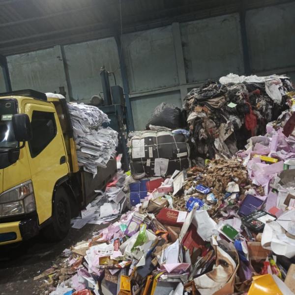 Daripada Numpuk, Kardus Bekas Bisa Jadi Cuan!