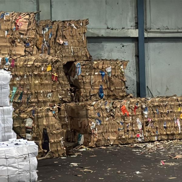 Mengubah Sampah Kertas Jadi Cuan Bersama PT Purnama Kertasindo