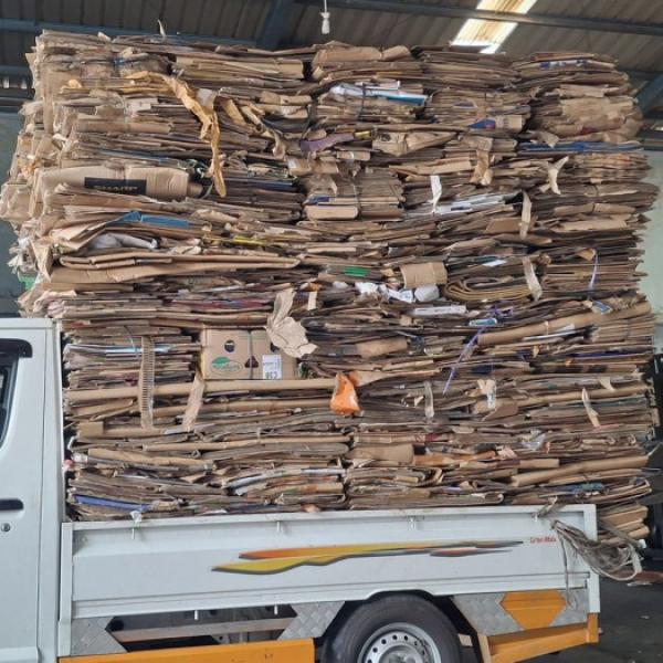 Kenapa Kertas dan Kardus Bekas Jangan Dibuang? Ini Peran Penting Pengepul!